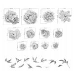 Rózsás falmatrica szett 12 rózsás