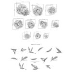 Rózsás falmatrica szett XL szürke