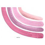 Szivárványos falmatrica pink 180cm XXL